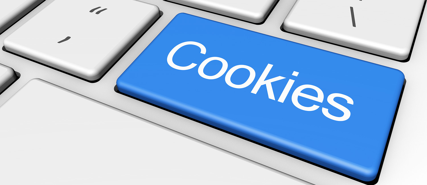 Website Cookie Policy For Best Western Inn Santa Clara