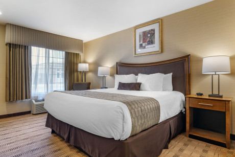 1 King Bed Business Deluxe